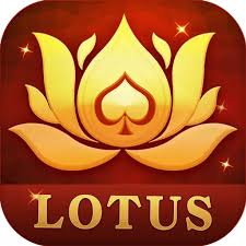 teen patti rule card download